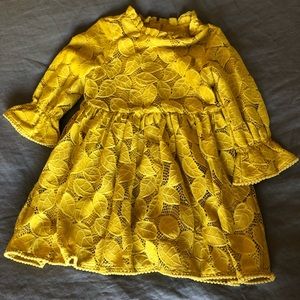 Girls Perfect Genuine Kids from OshKosh Fall dress